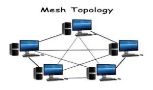 mesh tpology