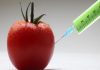 Knowing About Genetically Modified Foods