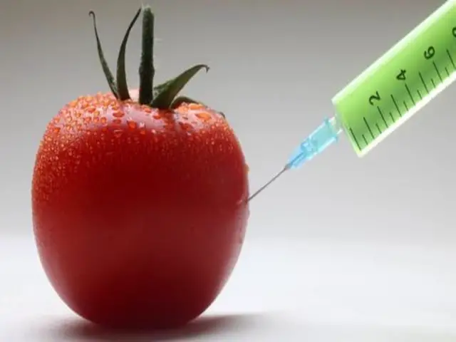Knowing About Genetically Modified Foods