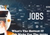 What’s The Hottest IT Job Niche For The 2020s?