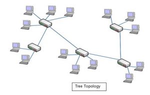 tree topology