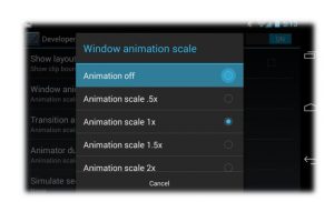 window animation scale