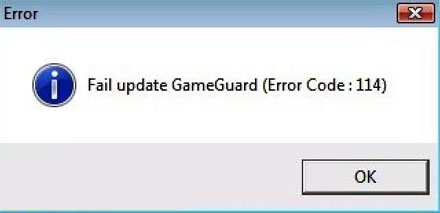 GameGuard Error Code 114