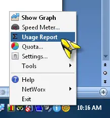 NetWorx usage report second
