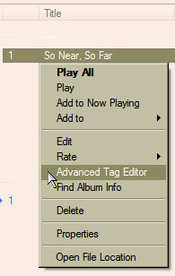 Windows Media Player Advanced Tag Editor