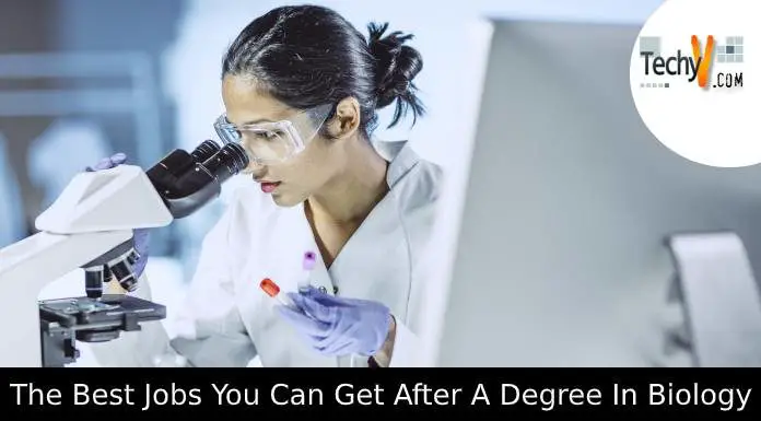 The Best Jobs You Can Get After A Degree In Biology