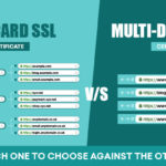 Multi-Domain SSL Vs. Wildcard SSL: Which One To Choose?