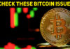 Don’t Avoid These Issues Related To Bitcoins That Any Bitcoin User Can Face!