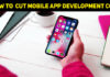 Tips To Cut Mobile App Development Cost